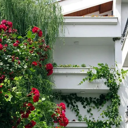 Pensión Barbov Obzor