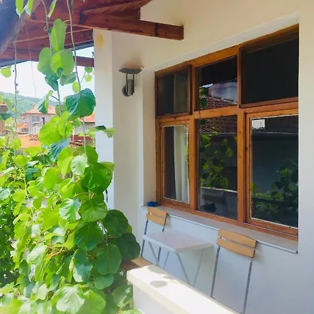 Barbov Pensión Obzor