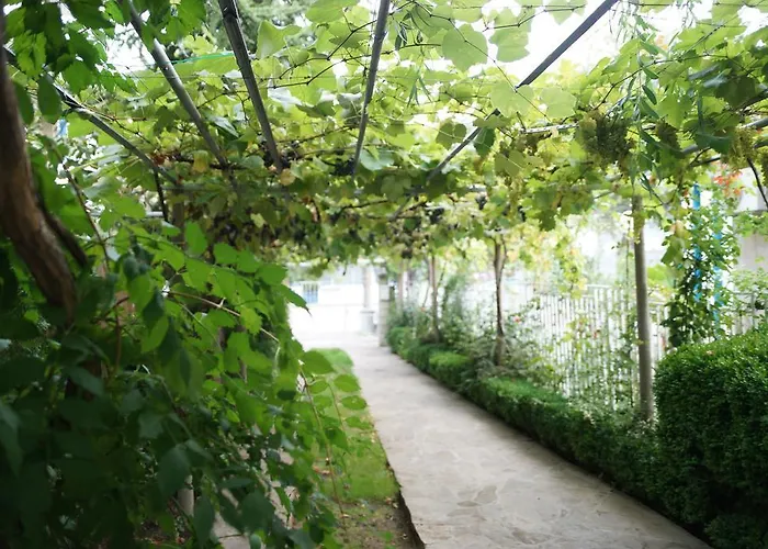 Barbov Guest house 2*