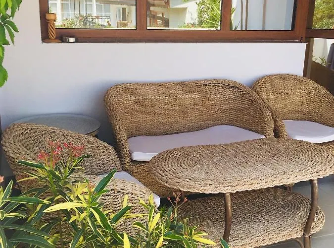 Guest house Barbov Obzor