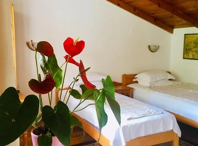 Guest house Barbov Obzor