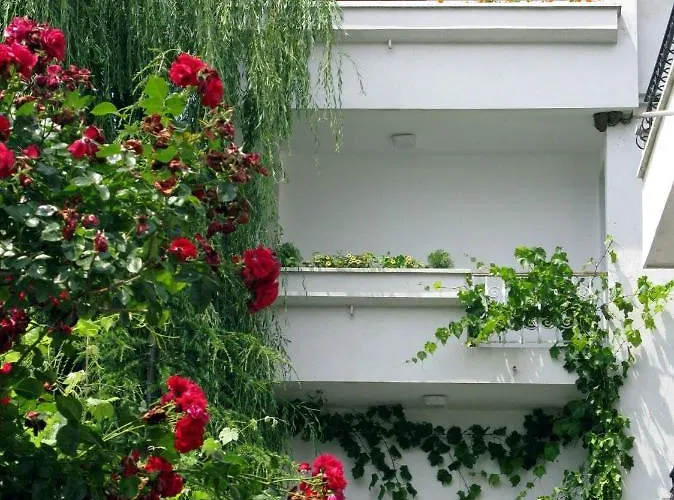 Pensionat Barbov Obzor