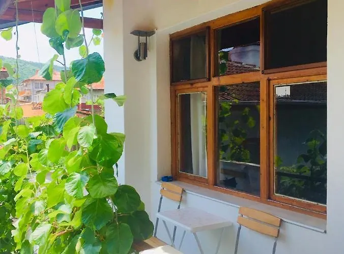 Barbov Pensionat Obzor